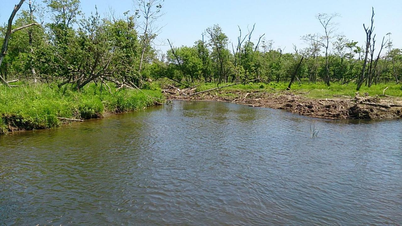 Tsukushi Village Цуруи Экстерьер фото
